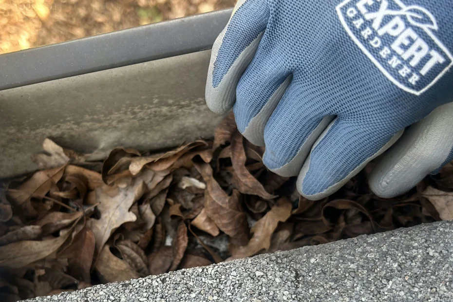 Gutter Cleaning Balcones Heights TX