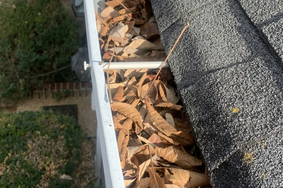 Gutter Cleaning Balcones Heights TX