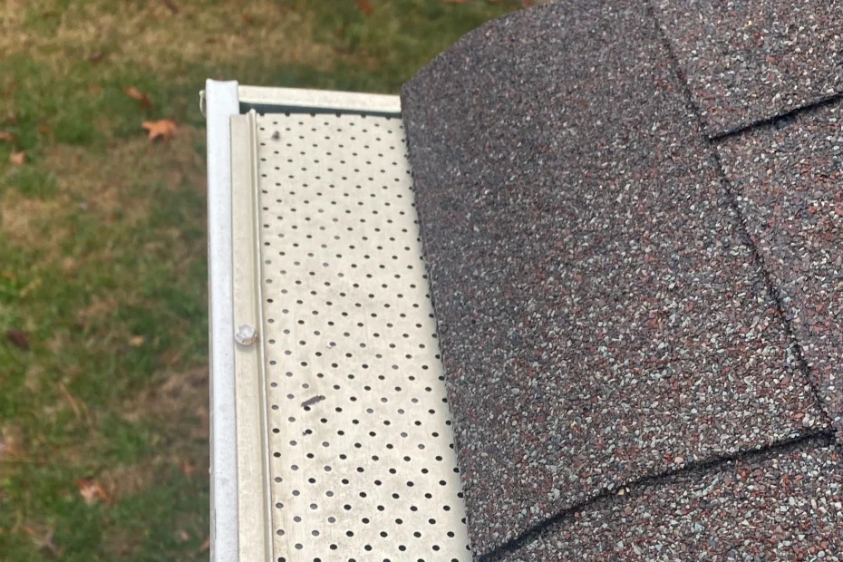 Gutter Cleaning Balcones Heights TX